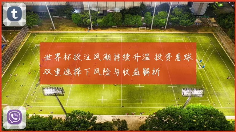 世界杯投注风潮持续升温 投资看球双重选择下风险与收益解析