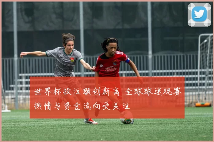 世界杯投注额创新高 全球球迷观赛热情与资金流向受关注